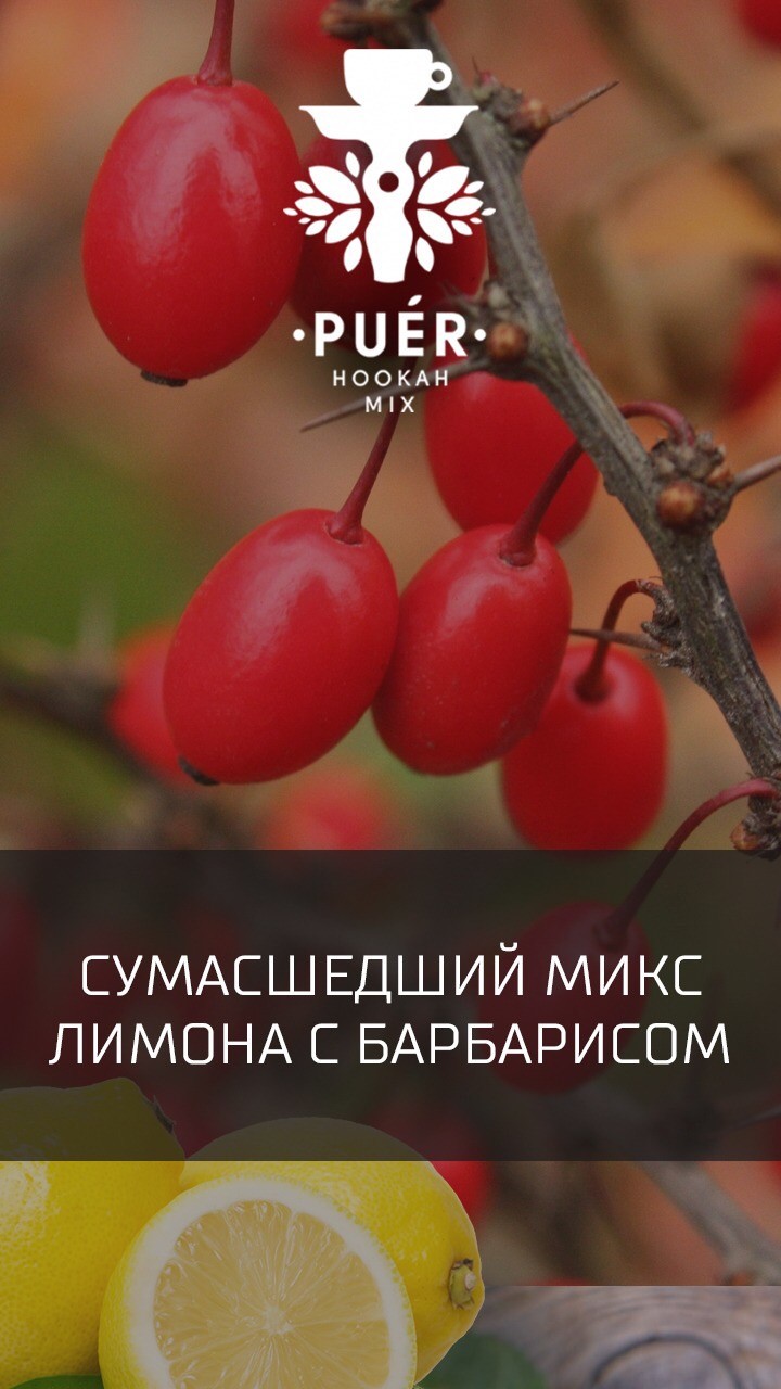 Табак Puer - Red crazy lemon (Сумасшедший микс лимона с барбарисом) 100 гр