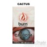 Табак Burn - Cactus (Кактус) 100 гр