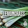 Табак Cobra La Muerte - Lemongrass (Лемонграсс) 200 гр